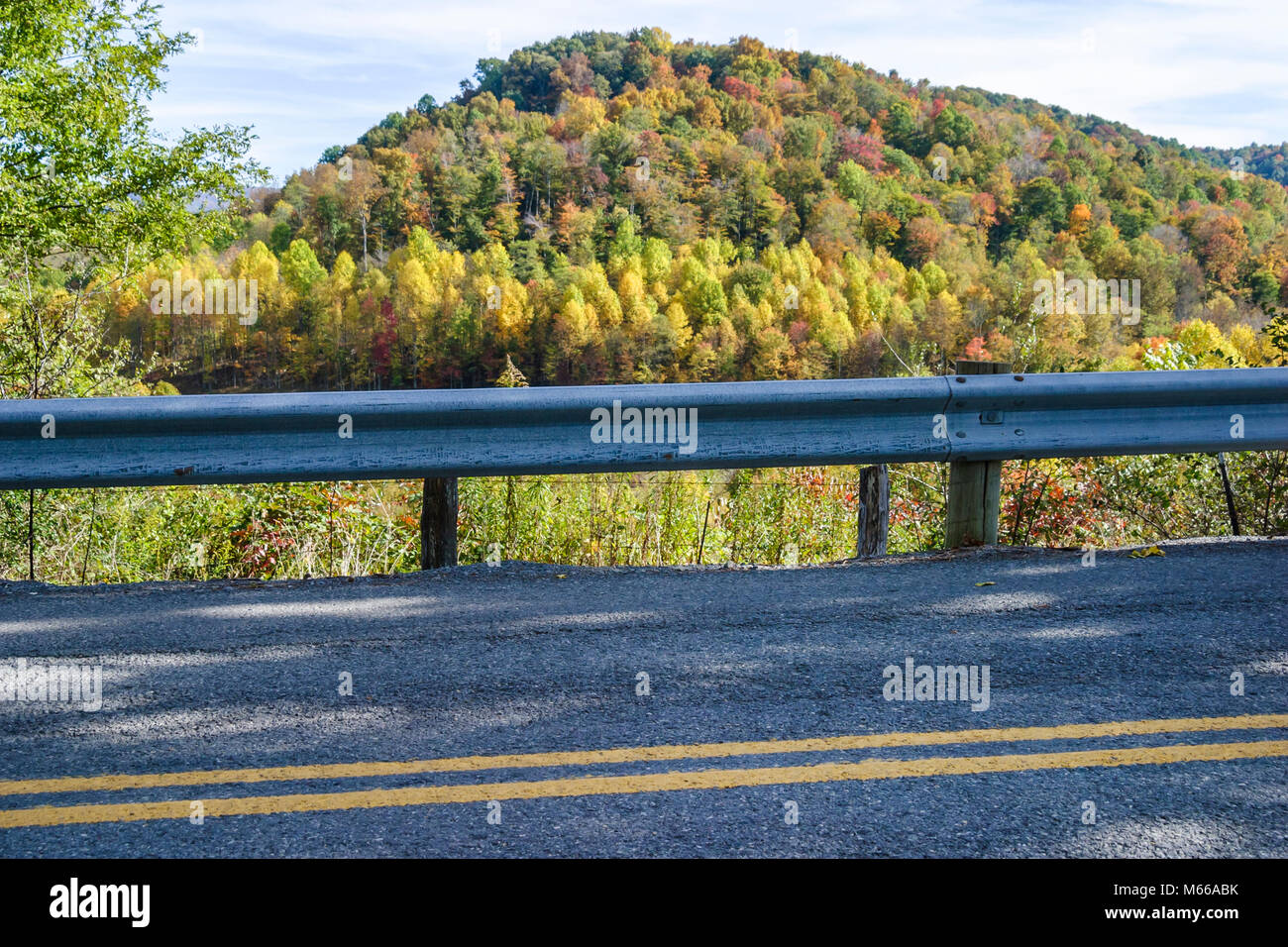West Virginia,Appalachia Nicholas colors,leaf