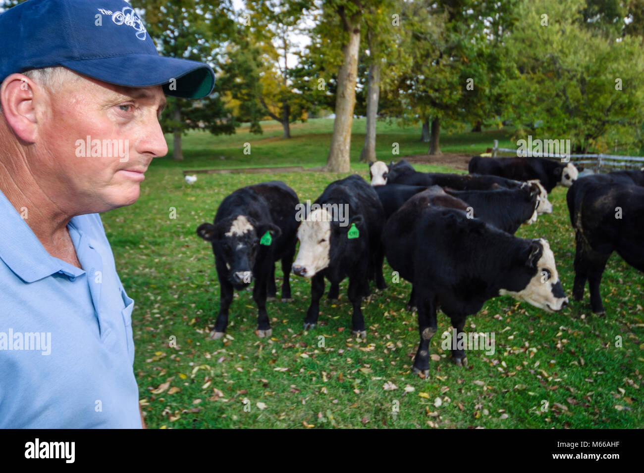 Lewisburg West Virginia,Appalachian Appalachia Allegheny Mountains