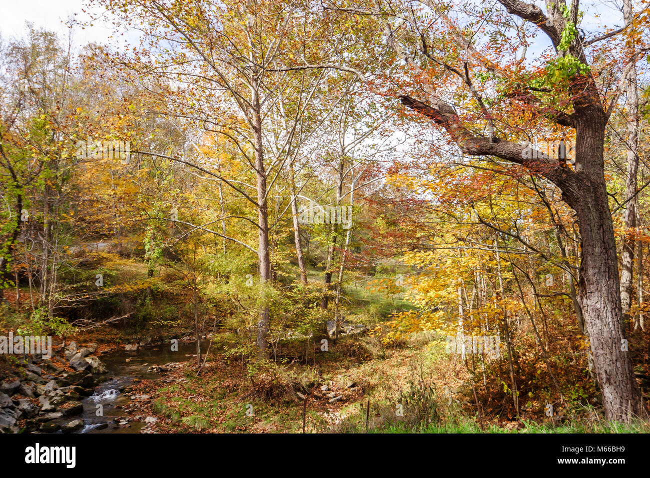 Lewisburg West Virginia,Appalachian Appalachia Allegheny Mountains