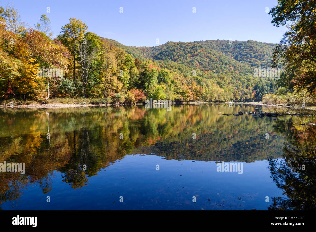 West Virginia,Appalachia Greenbrier County,Greenbrier River,water,tributary,Allegheny Mountains,trees,fall colors,leaf changing,autumn,season,trees,we Stock Photo