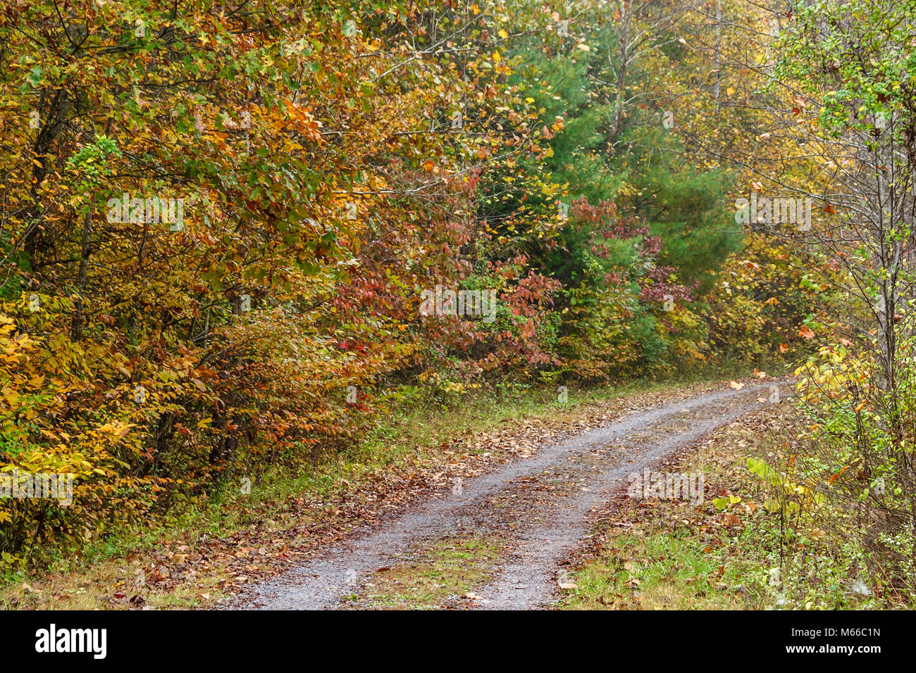 Greenbrier river trail hires stock photography and images Alamy