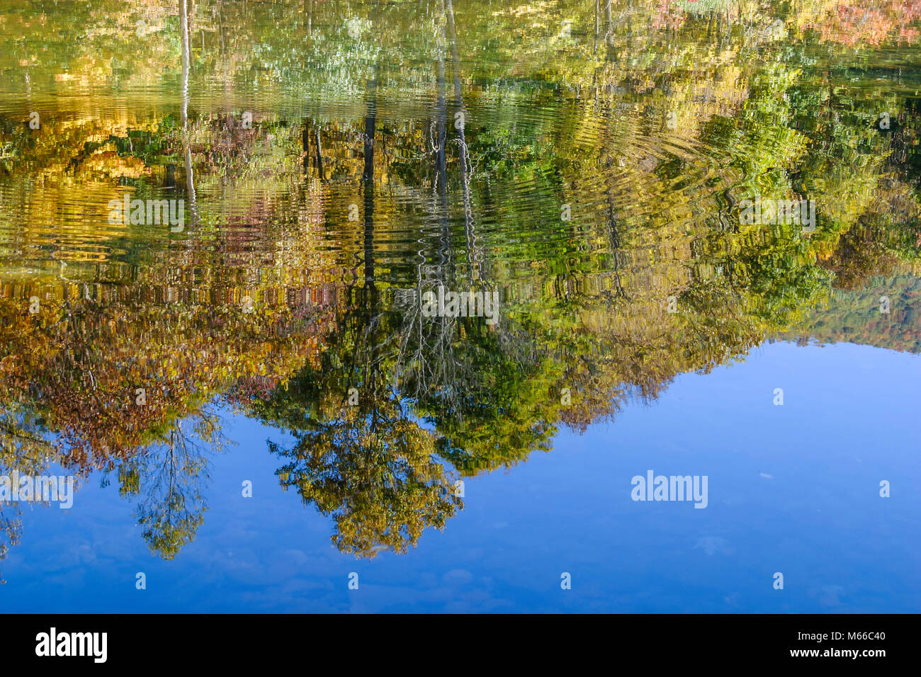 West Virginia,Appalachia Greenbrier County,Greenbrier River water