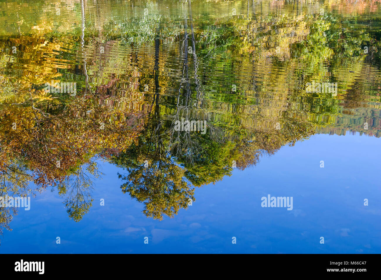 West Virginia,Appalachia Greenbrier County,Greenbrier River water