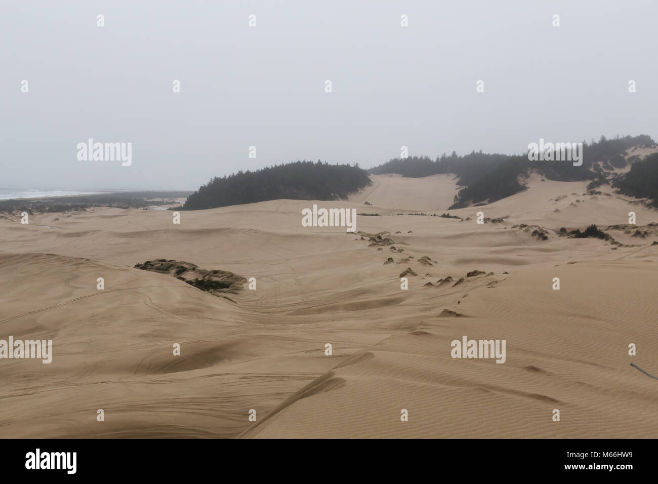 Oregon Dunes National Recreation Area, Reedsport, Oregon Coast, USA