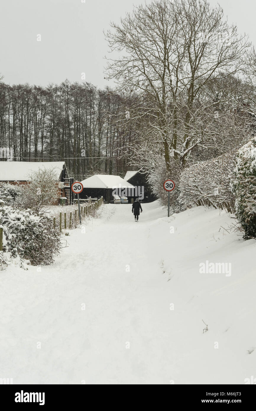 Woman snow footprints hi-res stock photography and images - Alamy