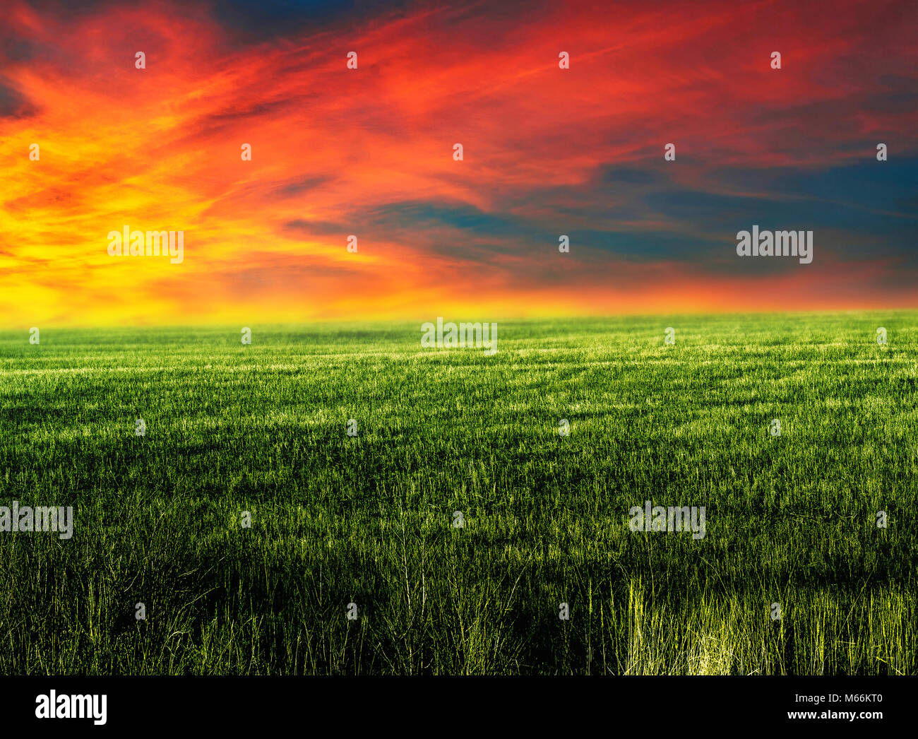 Twilight field hi-res stock photography and images - Alamy