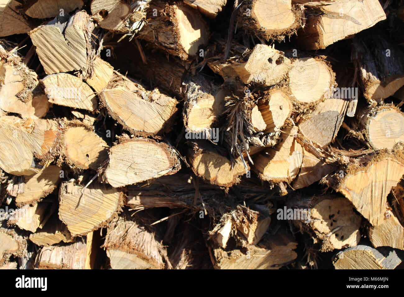 Large stack of cut fire wood close up view Stock Photo
