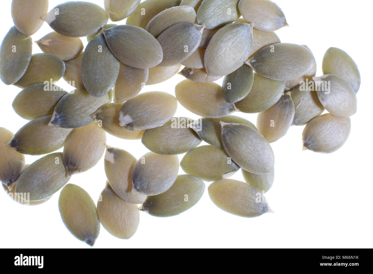 fig leaf gourd squash seed closeup Stock Photo - Alamy