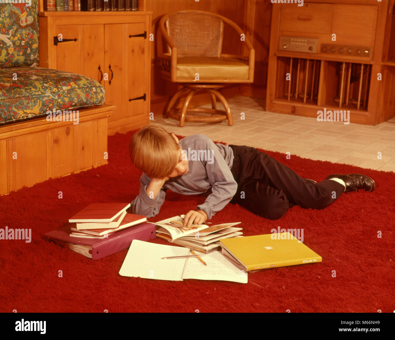 primary homework help the 1960s