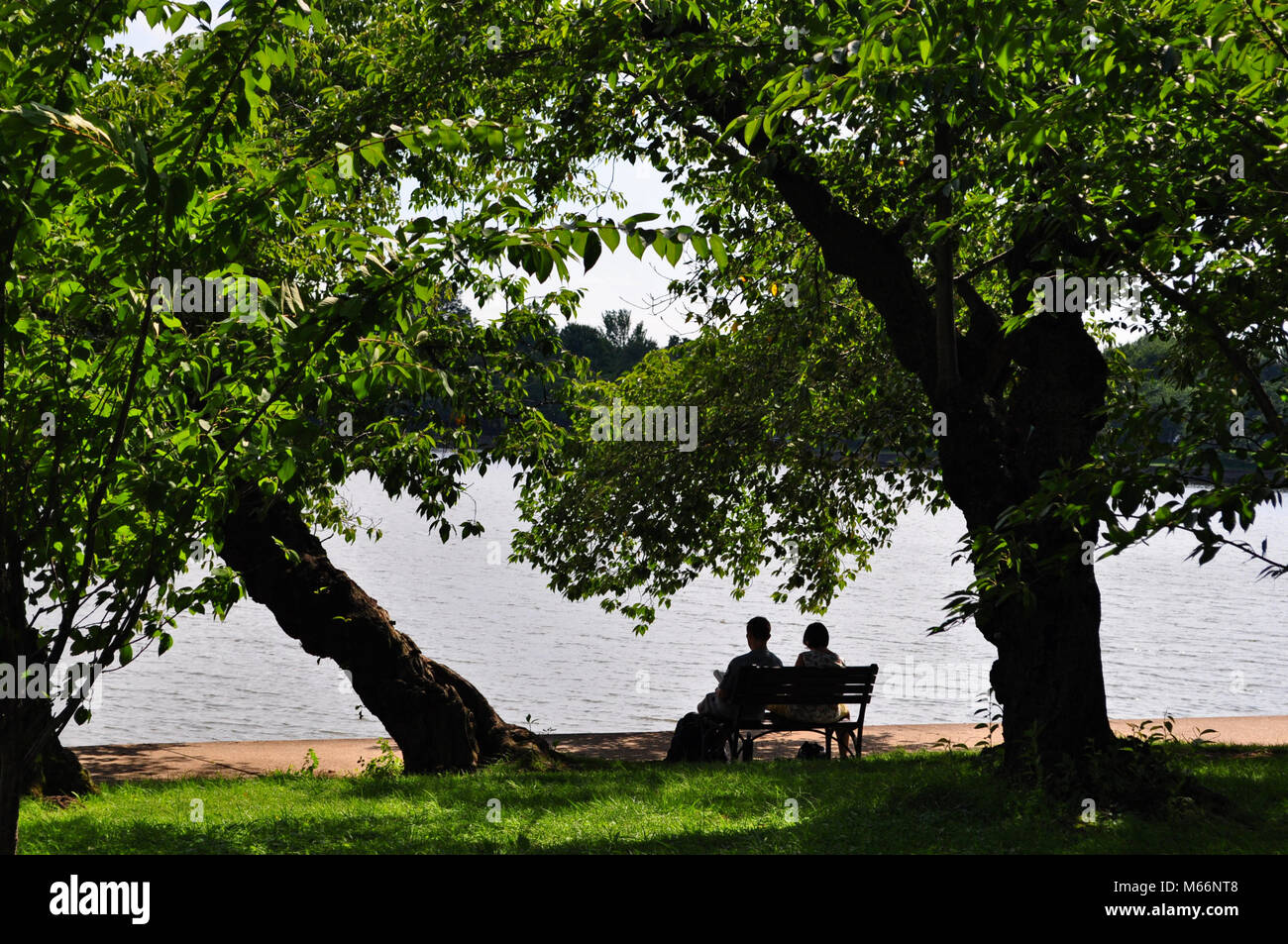 Young couple sitting on a bench with a view Stock Photo - Alamy