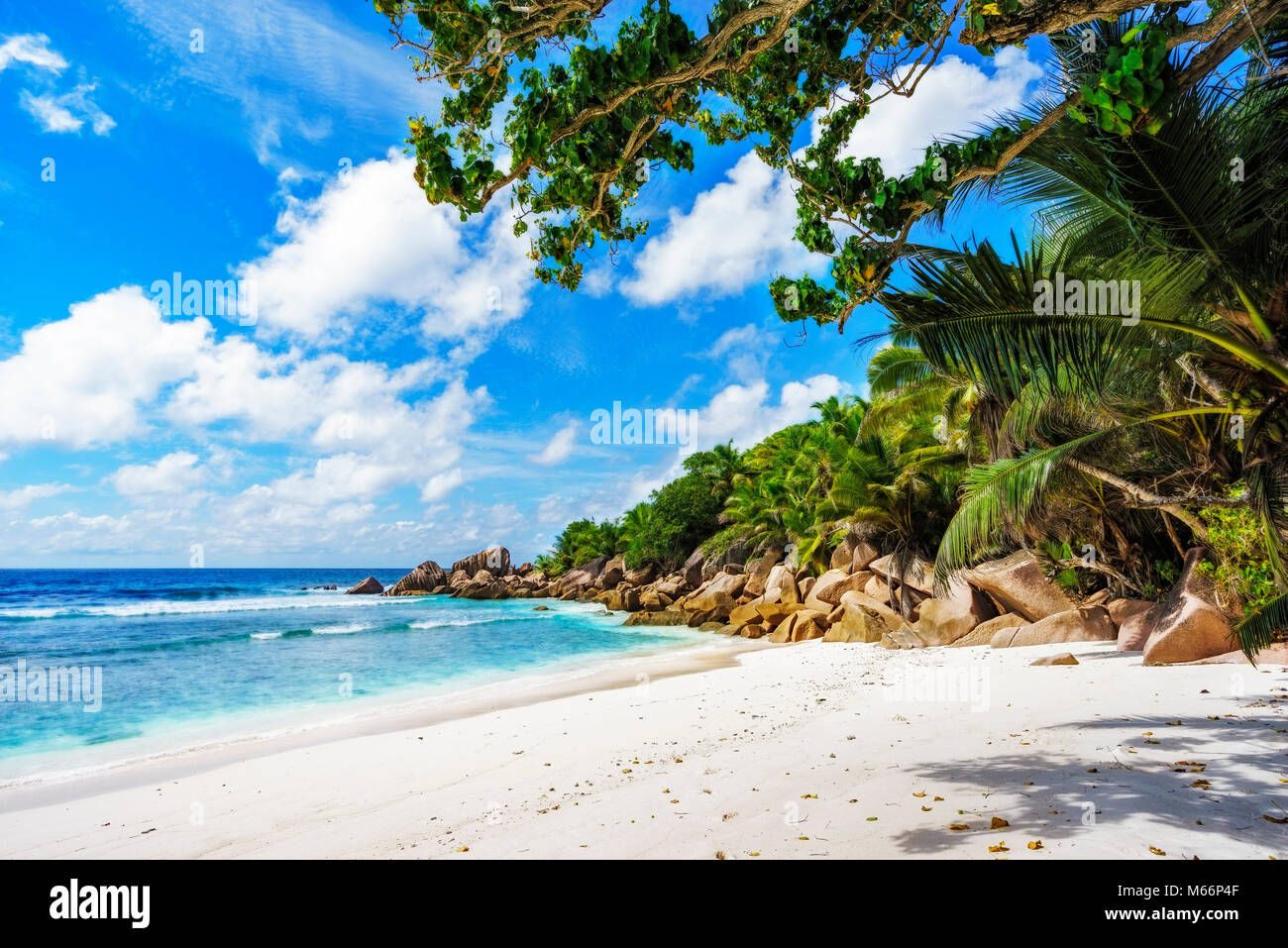 granite rocks, white sand, turquoise water, blue sky and palm trees on paradise beach on the seychelles, anse cocos, la digue Stock Photo