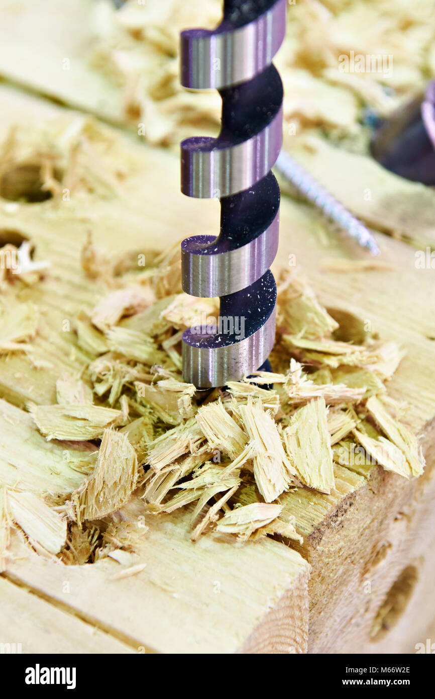 Drill for wood in the hole of the board and shavings Stock Photo Alamy