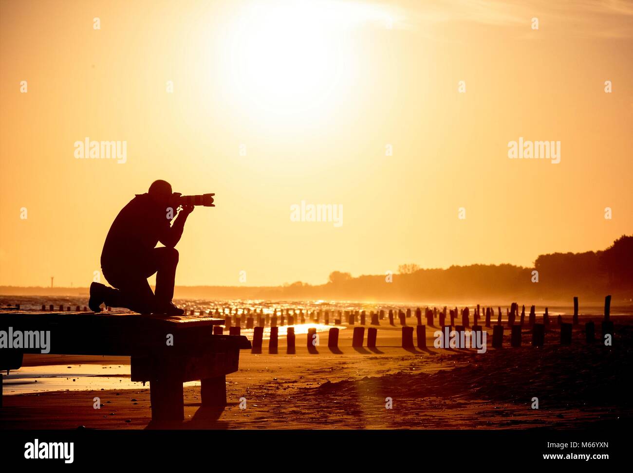 Silhouette of kneeling photographer on the golden beach during sunrise / sunset Stock Photo