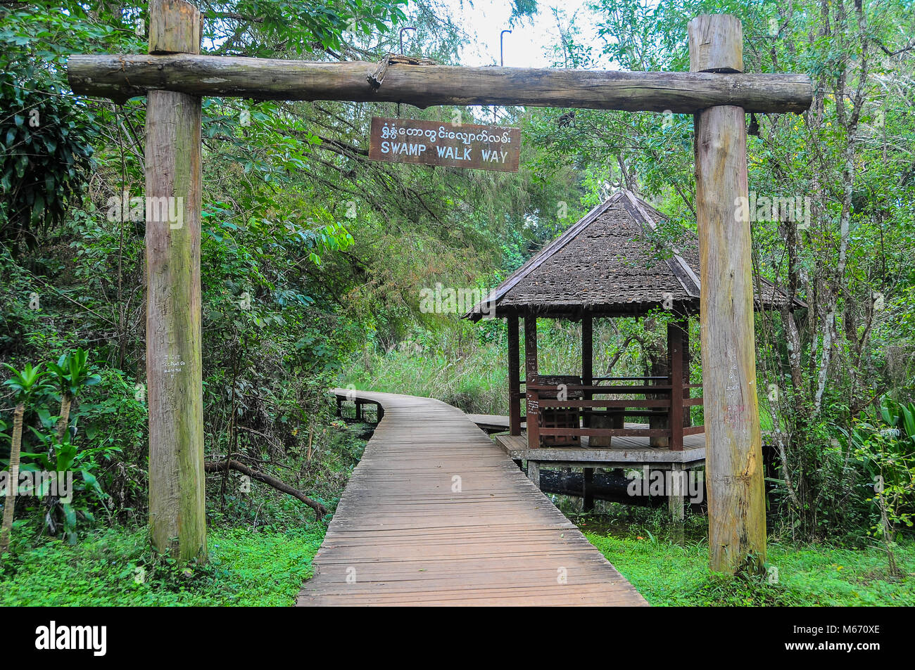 Swamp Walk Way Entrance to swamp walkway at the National Kandawgyi Gardens, Pyin Oo ...