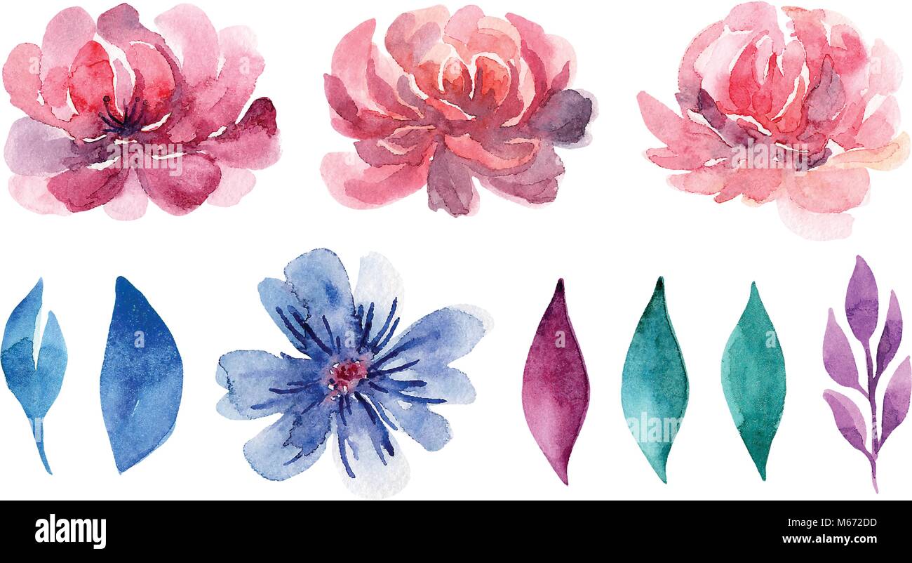 Watercolor flowers vector clip art set. Pink floral painted illustration collection Stock Vector