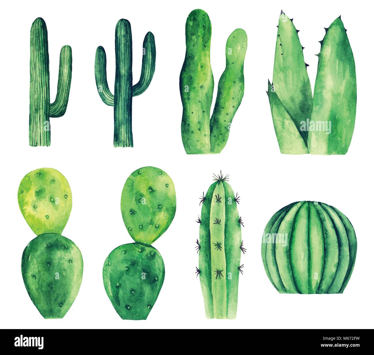 Watercolor Cactus High Resolution Stock Photography And Images Alamy Watercolor Cactus High Resolution Stock Photography And Images Alamy