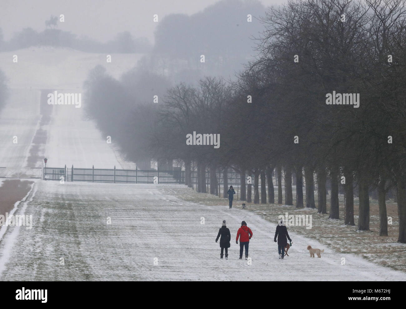 Dog walkers walk through the snow on the Long Walk at Windsor Castle, Berkshire, as storm Emma, rolling in from the Atlantic, looks poised to meet the Beast from the East's chilly Russia air - causing further widespread snowfall and bitter temperatures. Stock Photo
