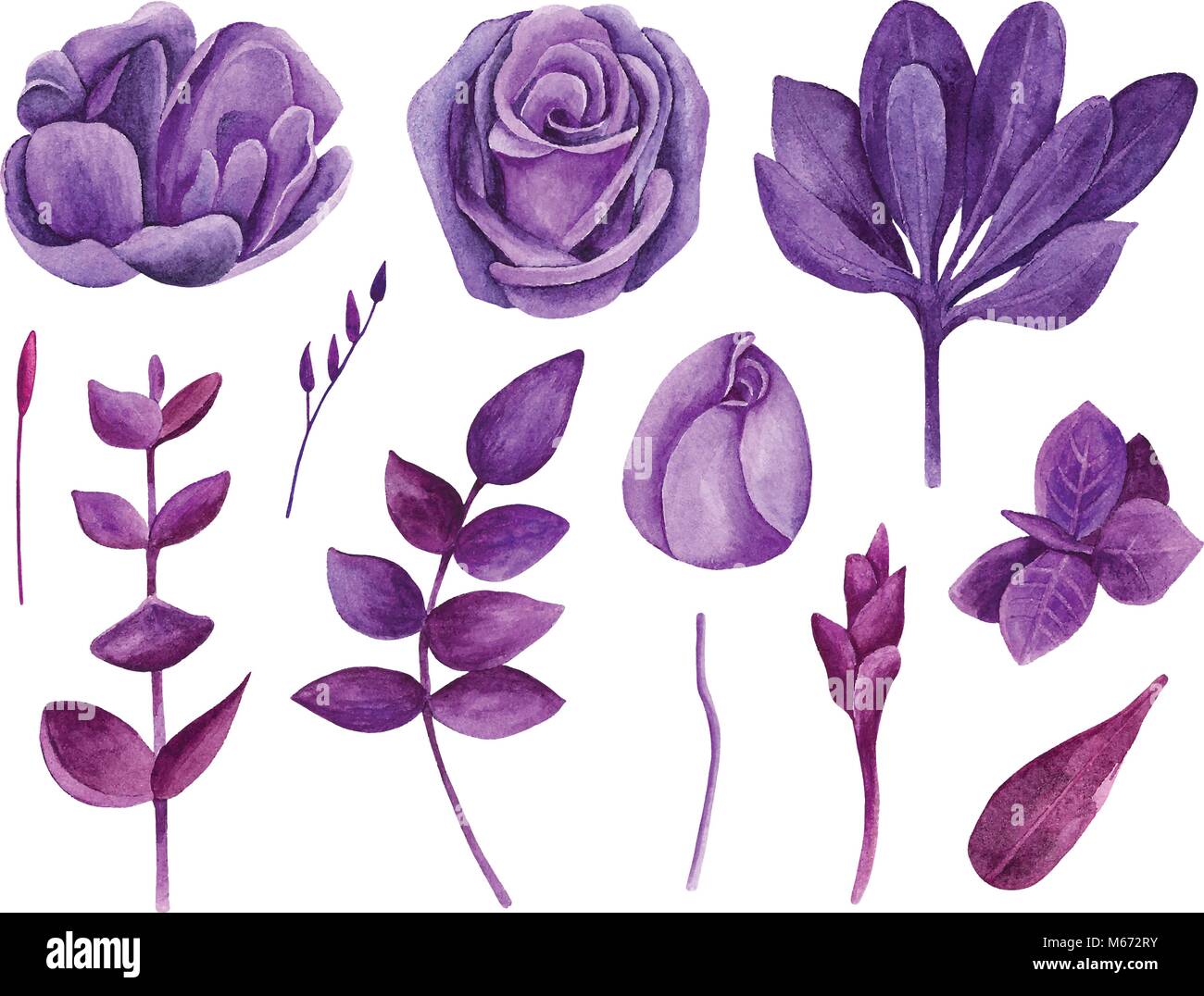 Watercolor Purple Floral Set Vector Clip Art Flowers Violet Collection Clipart Stock Vector