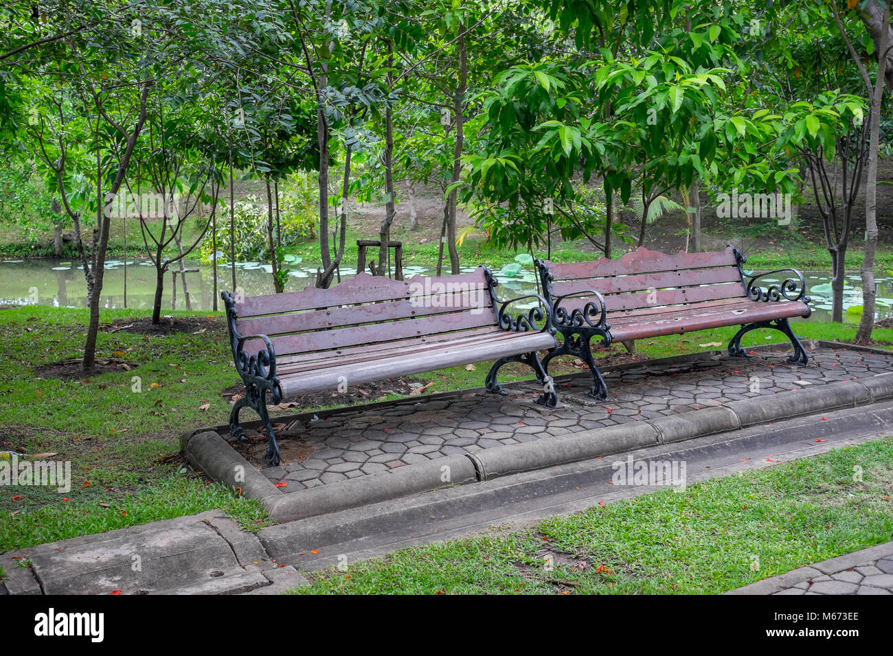 Two benches in the park and trees in background Stock Photo - Alamy