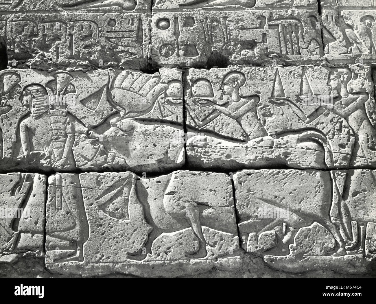 Religious procession with Bull deity, Egyptian bas-relief Stock Photo