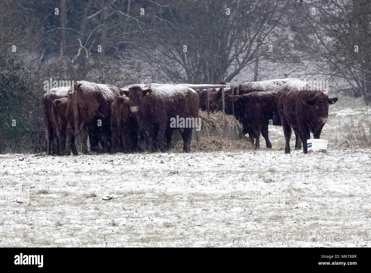 Farnham road hires stock photography and images Alamy
