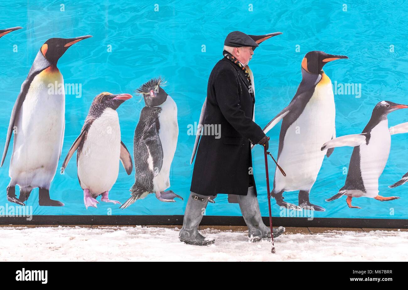 Edinburgh, Scotland, UK. 1st March, 2018. The Beast from the East, Storm Emma hit Edinburgh overnight and has left transport links decimated and many of the shops on the famous Princes Street closed for the day.  Pictured: Pedestrians pass by an advertisement for Edinburgh Zoo on Princes Street Credit: Rich Dyson/Alamy Live News Stock Photo