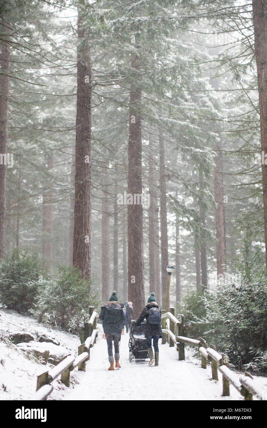 Longleat Center Parcs, Wiltshire. 1st Mar, 2018. UK weather: Visitors walk through the snow at Longleat Center Parcs in Wiltshire. Much of the South West and Wales has been hit by Storm Emma, bringing blizzards and heavy snowfall. 1 March 2018 Credit: Adam Gasson/Alamy Live News Stock Photo