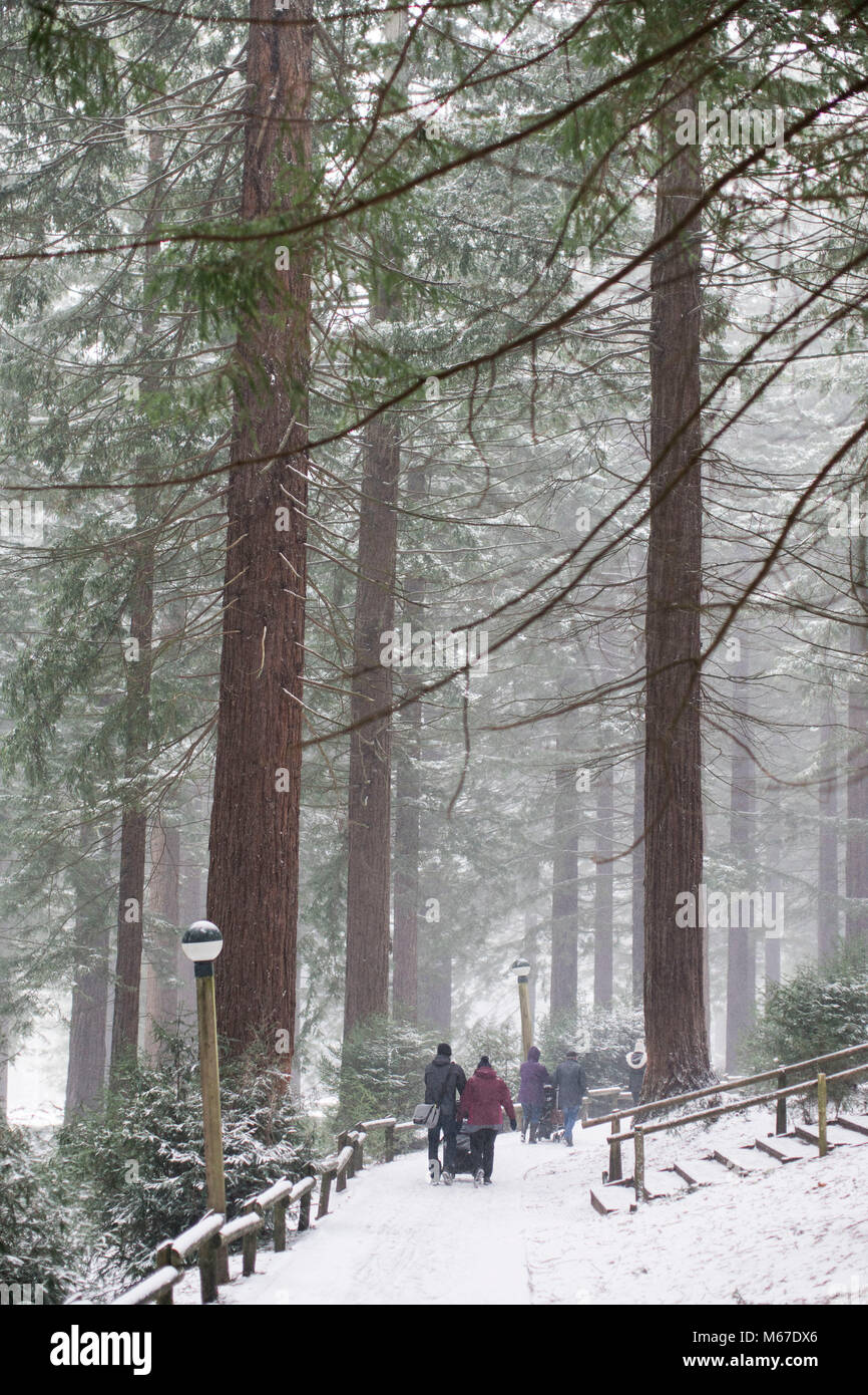 Longleat Center Parcs, Wiltshire. 1st Mar, 2018. UK weather: Visitors walk through the snow at Longleat Center Parcs in Wiltshire. Much of the South West and Wales has been hit by Storm Emma, bringing blizzards and heavy snowfall. 1 March 2018 Credit: Adam Gasson/Alamy Live News Stock Photo