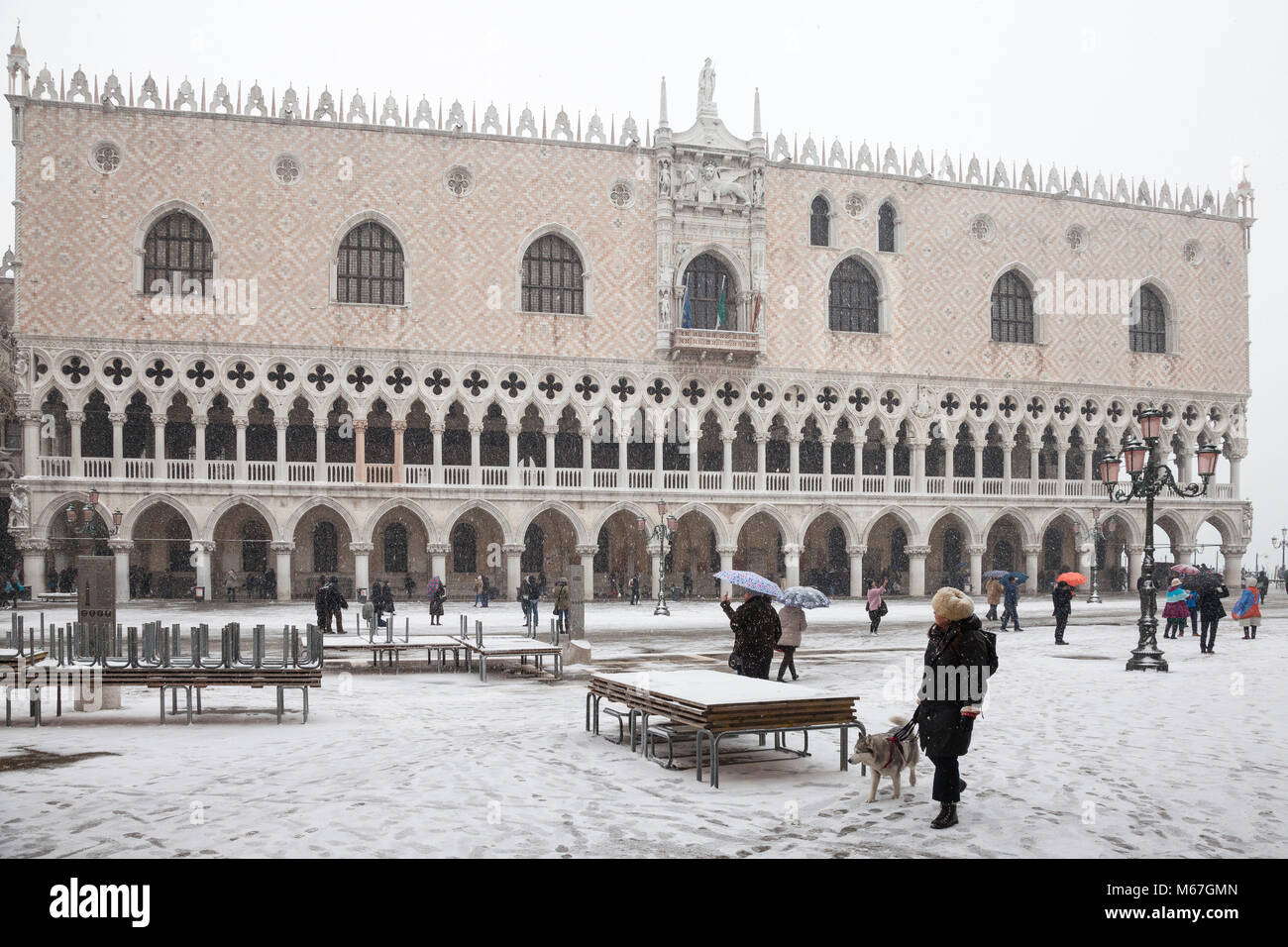 Venice, Veneto, Italy 1st March 2018. Bad weather in Venice today with sub-zero temperatures between minus 3 and minus 2 and continuous snow falling throughout the day caused by the Beast from the East, or the Siberian front from Russia sweeping across Europe. Woman walking her dog past the Doges Palace, Palazzo Ducale in Piazza San Marco. Stock Photo