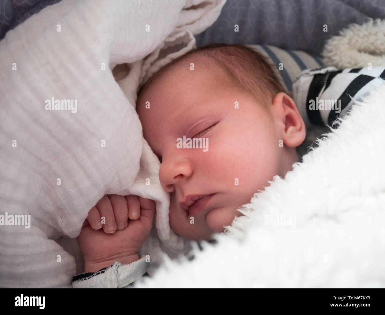 Newborn baby sleeping in bed close up Stock Photo Alamy
