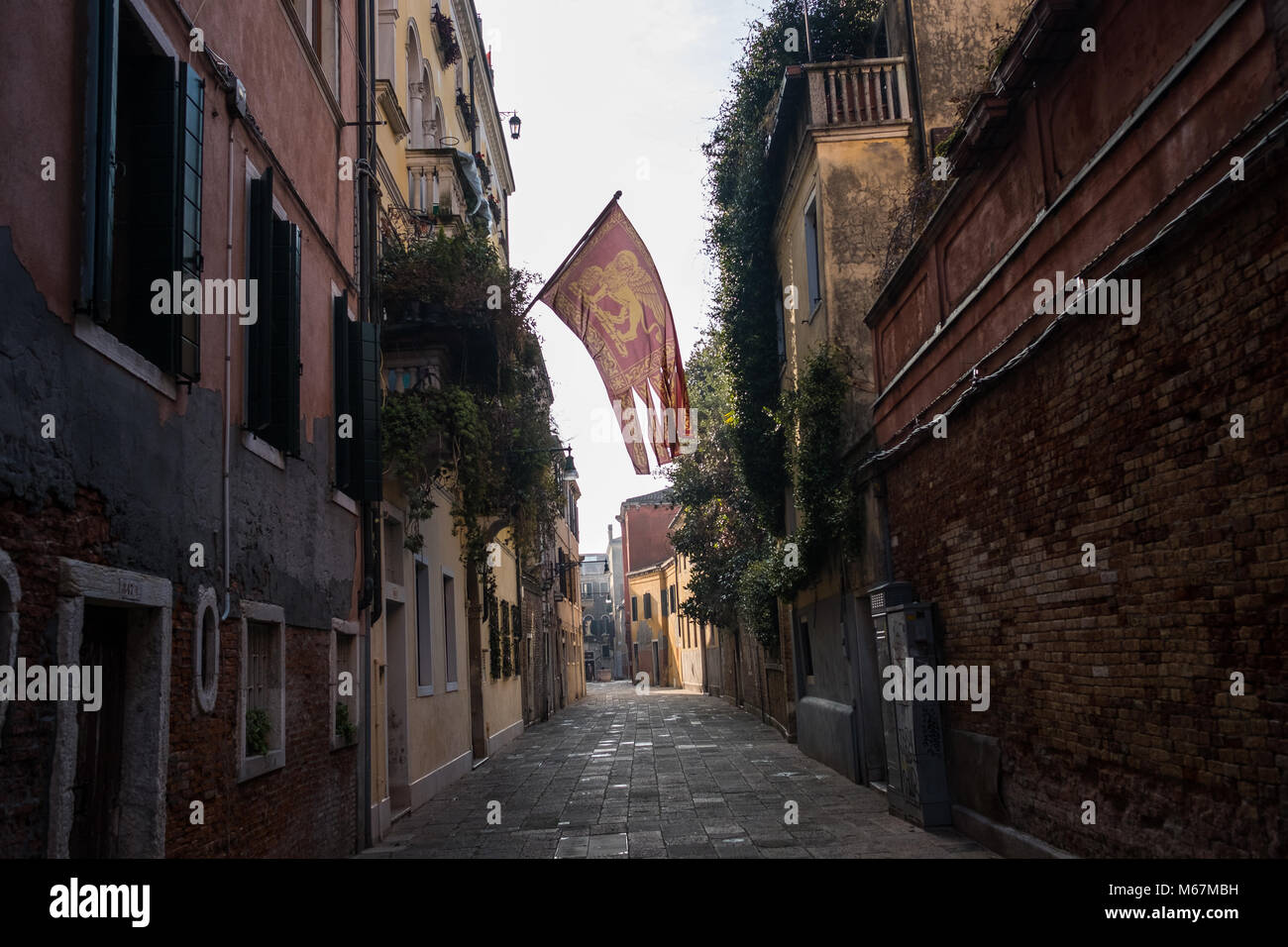 The Venetian Lion Symbol In a flag in the middle of Venice Stock Photo
