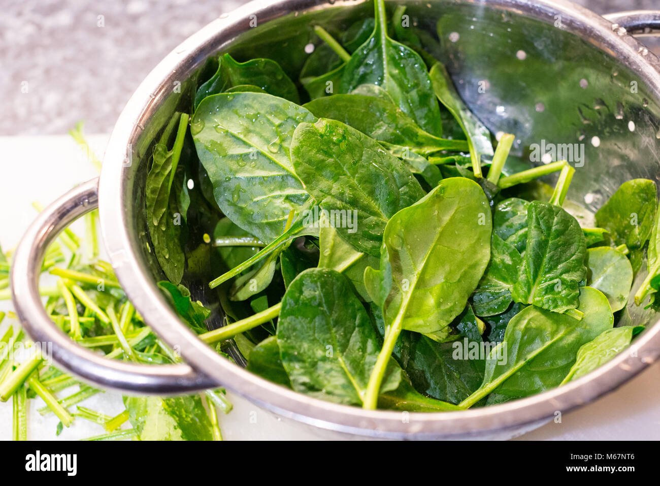 Spinach leaves in a colander. Stock Photo