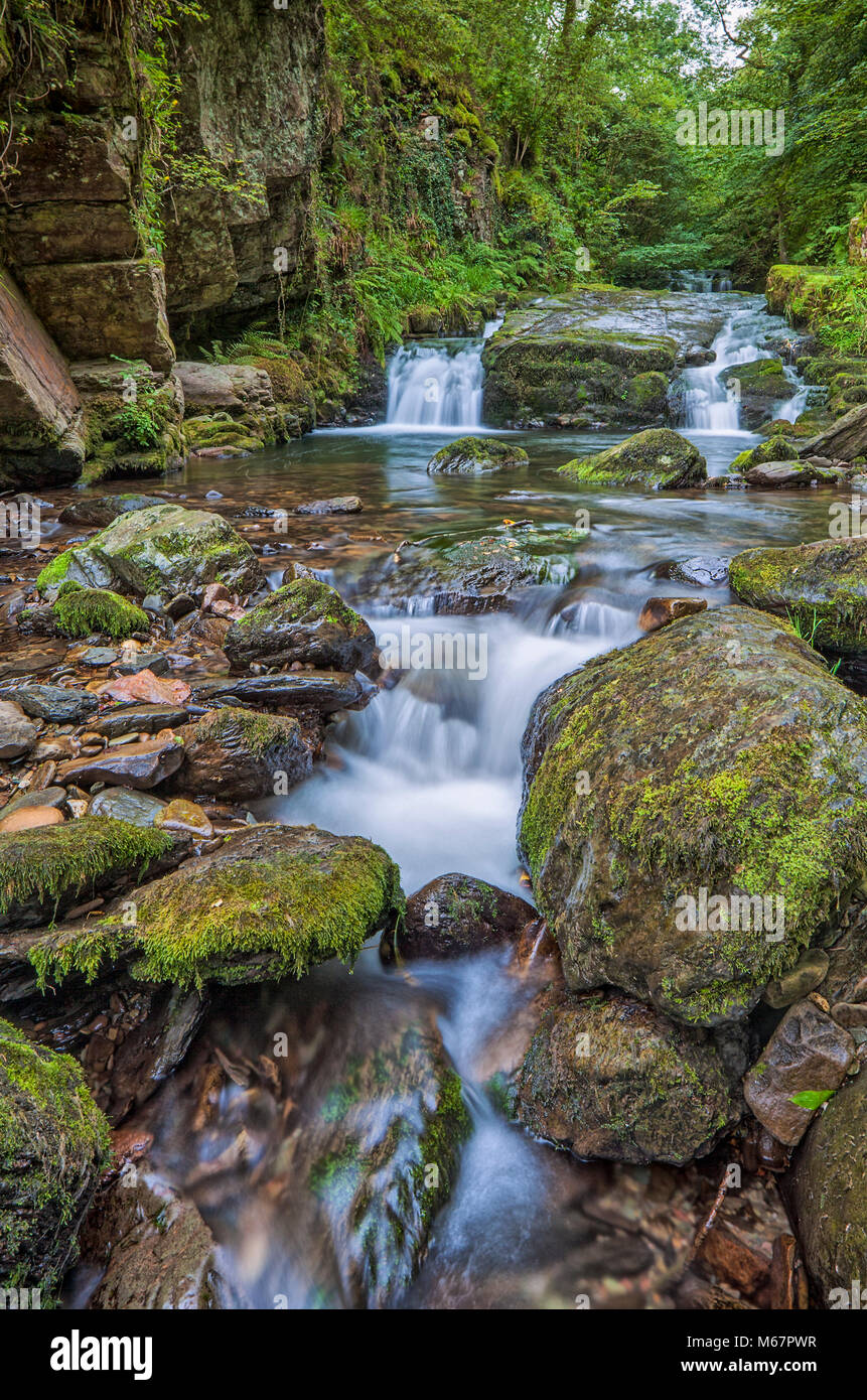 Watersmeet,, North Devon, UK Stock Photo