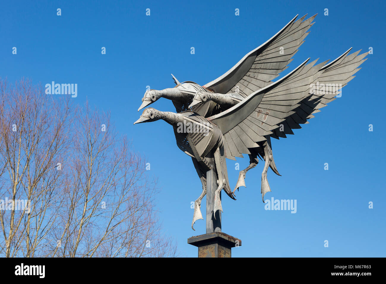 Ross-on-Wye, Herefordshire: Mallards Flying sculpture, by Walenty Pytel, 1997 Stock Photo