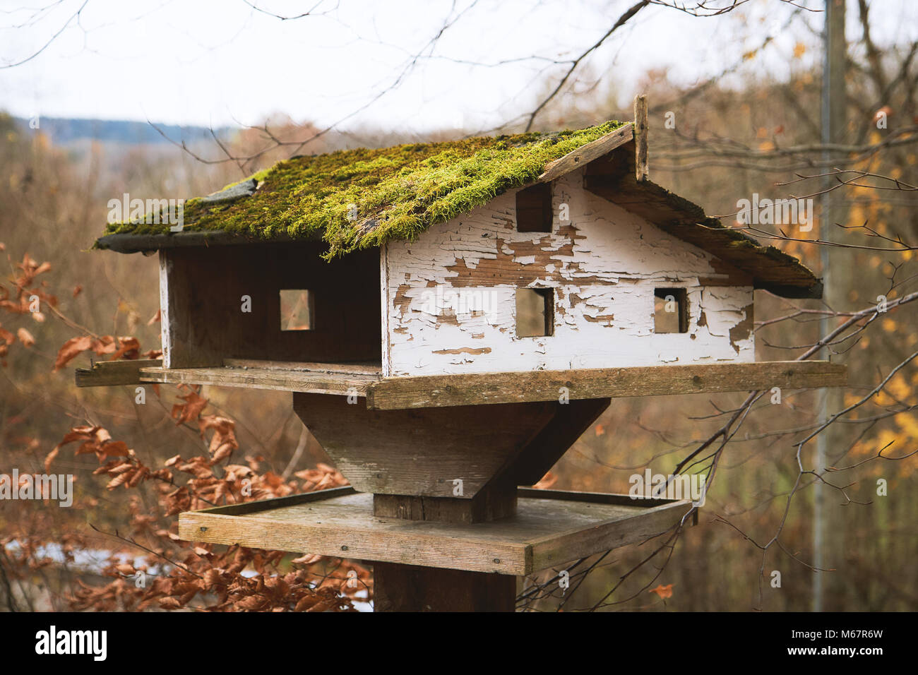 Old rustic birdhouse with roof covered in moss Stock Photo