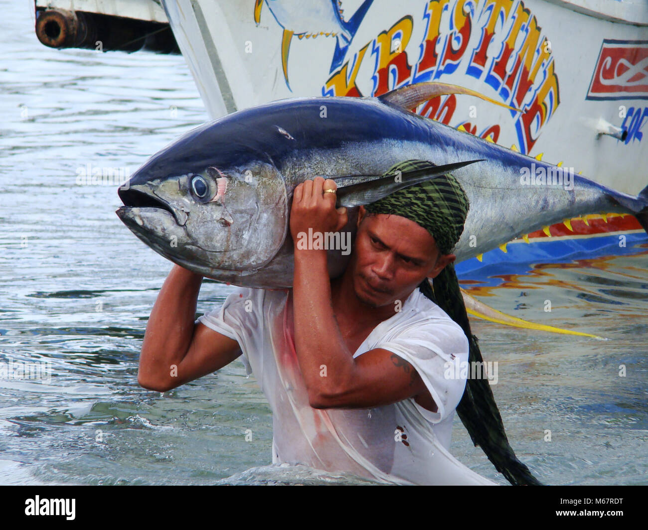 yellowfin tuna Thunnus albacares freshly landed by the artisanal fishermen in Mindoro, Philippines Stock Photo