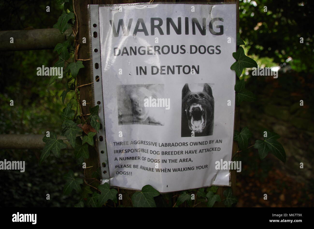 Dangerous dogs in Denton sign. Oxfordshire. England. UK Stock Photo - Alamy