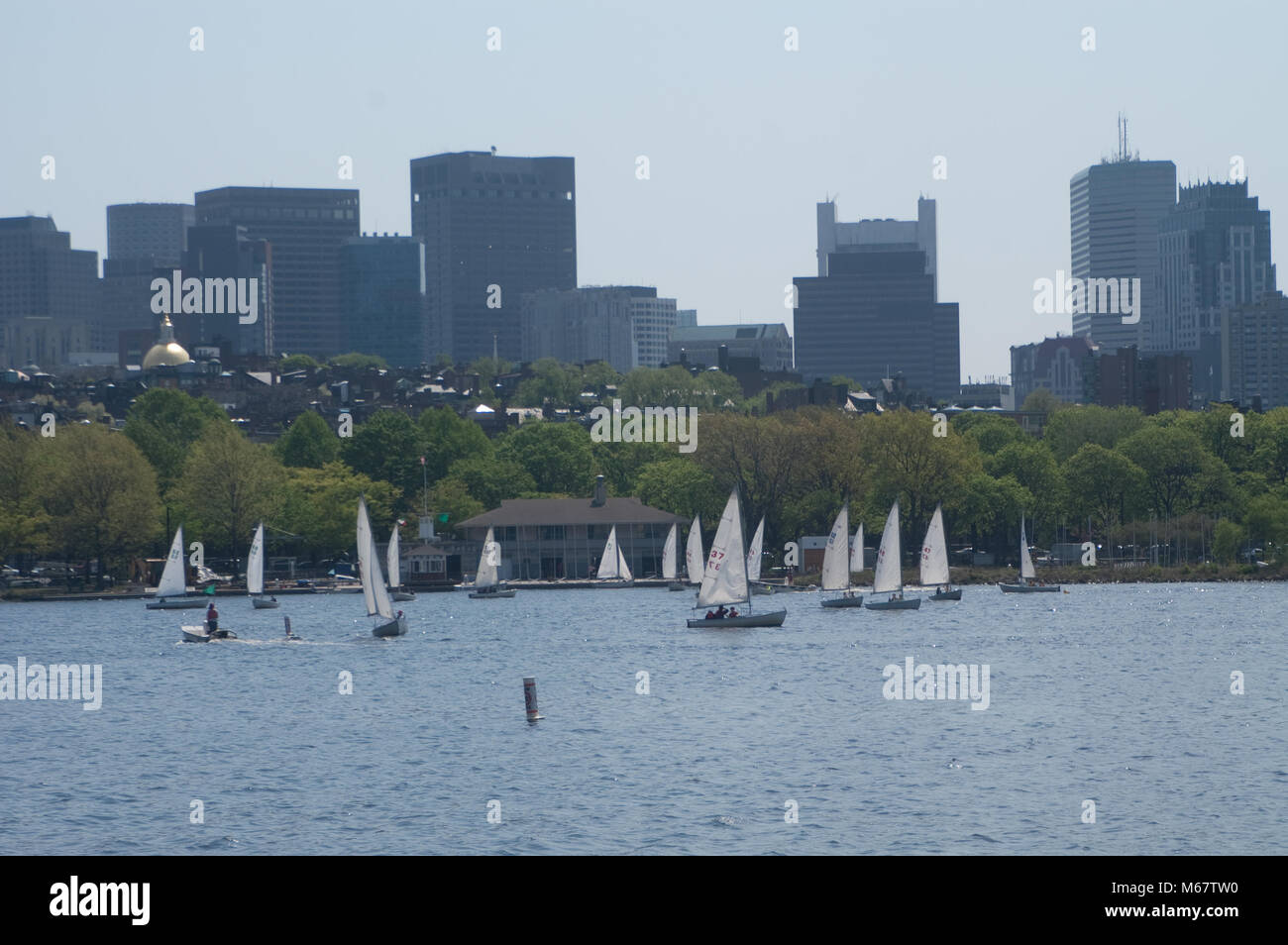 Sailboats on the Charles River as seen from Cambridge. Beacon Hill can be seen from the background Stock Photo
