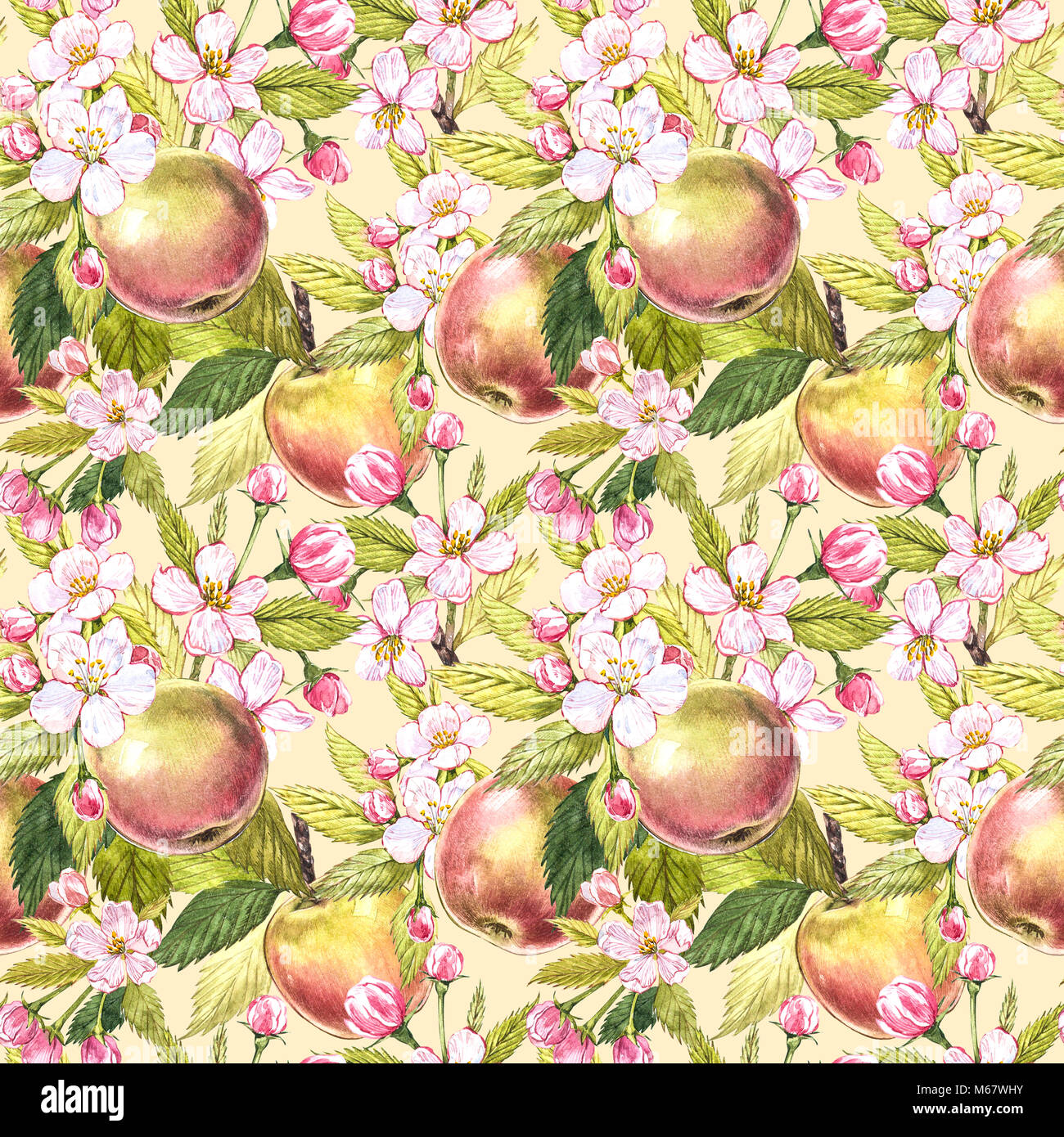 Apple flowers hand drawn seamless pattern watercolor illustration Stock ...