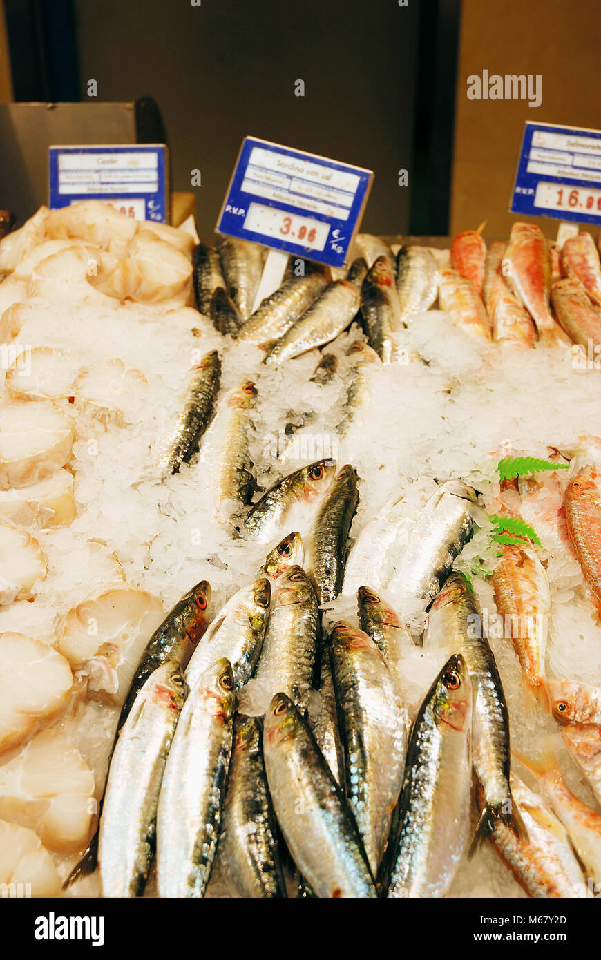 Fishmonger. Stock Photo
