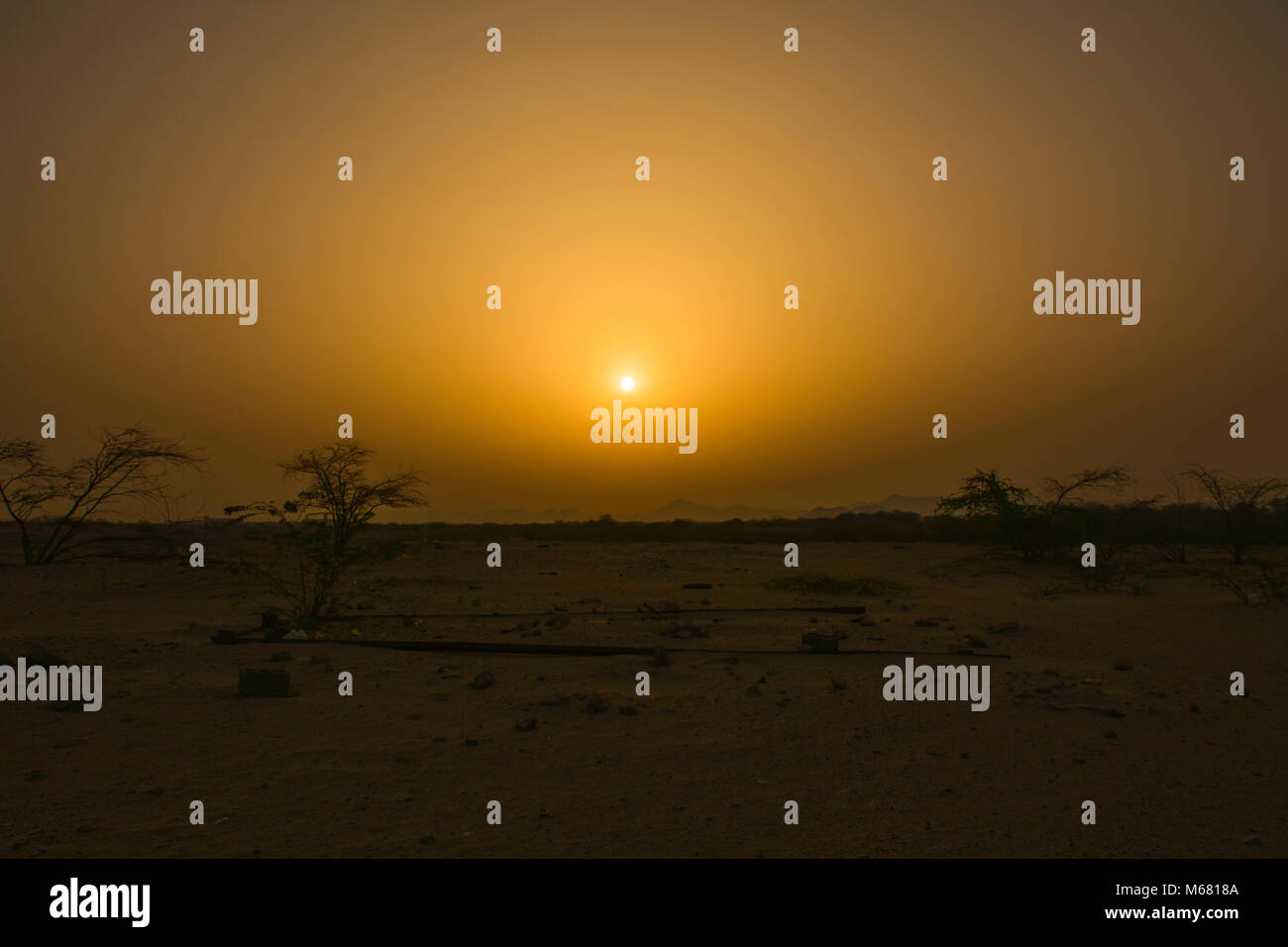 Sunset in desert Stock Photo