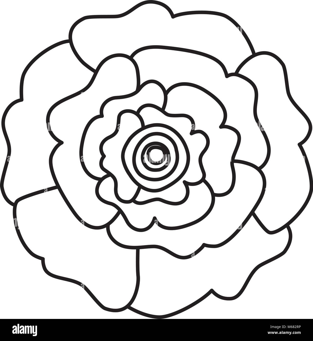 Carnation Outline Images – Browse 2,405 Stock Photos, Vectors, and Video