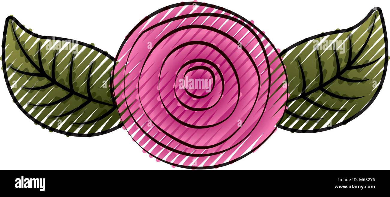 decorative pink rose with leaves top view vector illustration Stock ...