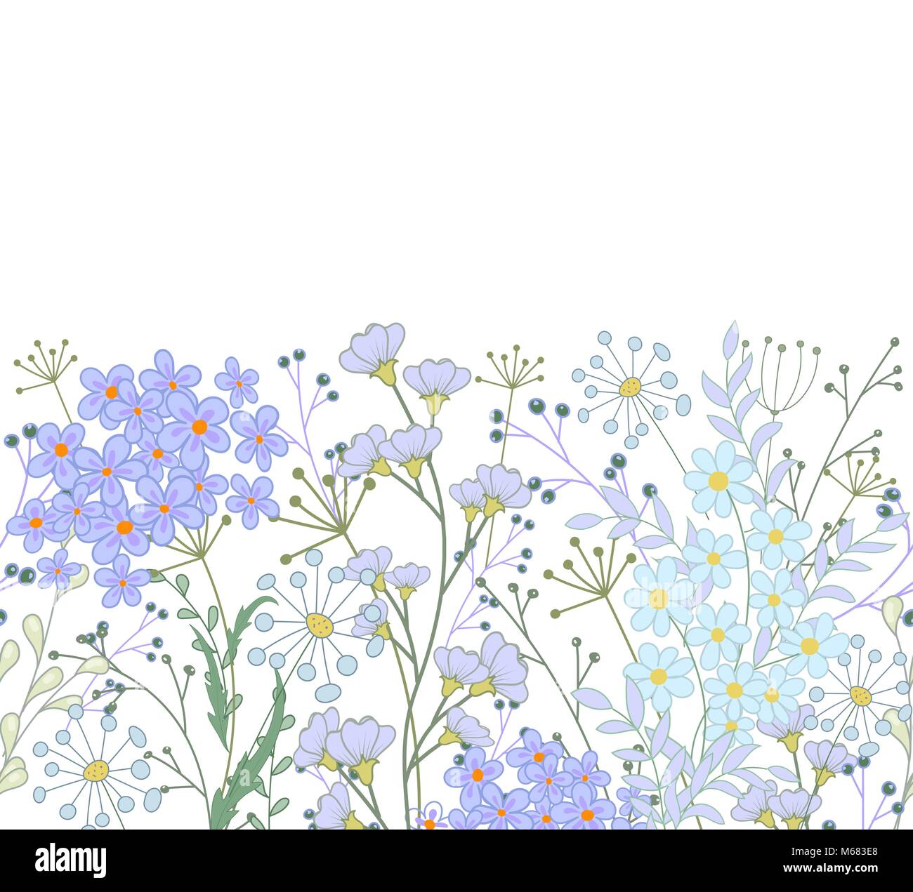 Vector seamless floral border. Herbs and wild flowers. Botanical ...