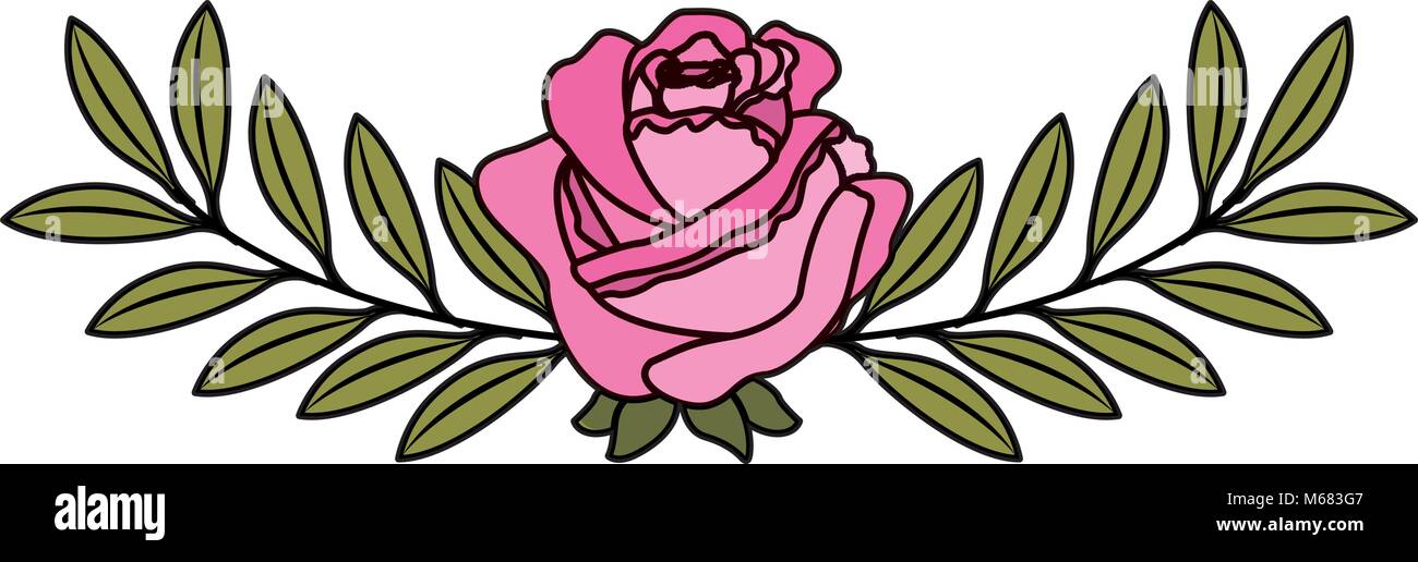 Rose zentangle hi-res stock photography and images - Alamy