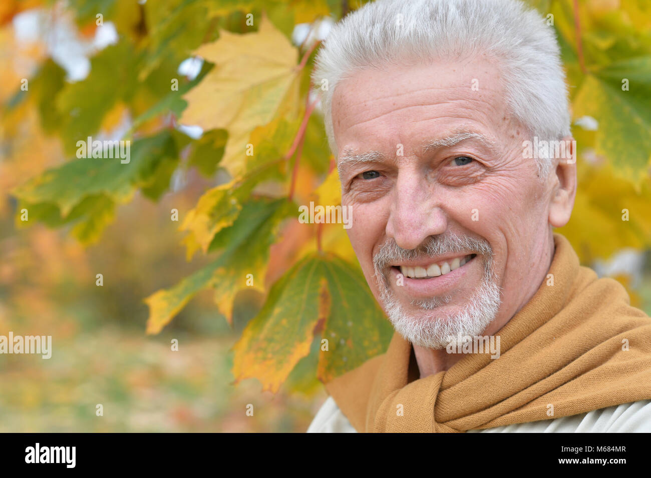 elderly man posing in autumn park Stock Photo - Alamy
