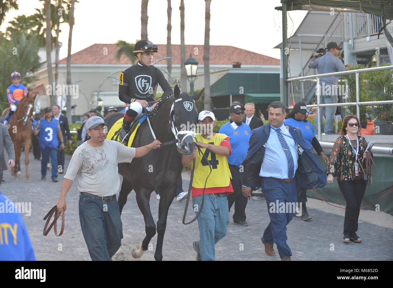 The $16 Million Pegasus World Cup Invitational, the world's richest thoroughbred horse race, at Gulfstream Park in Hallandale Beach, Florida.  Featuring: Sharp Azteca #4 with Irad Ortiz riding Where: Hallandale Beach, Florida, United States When: 27 Jan 2018 Credit: Johnny Louis/WENN.com Stock Photo