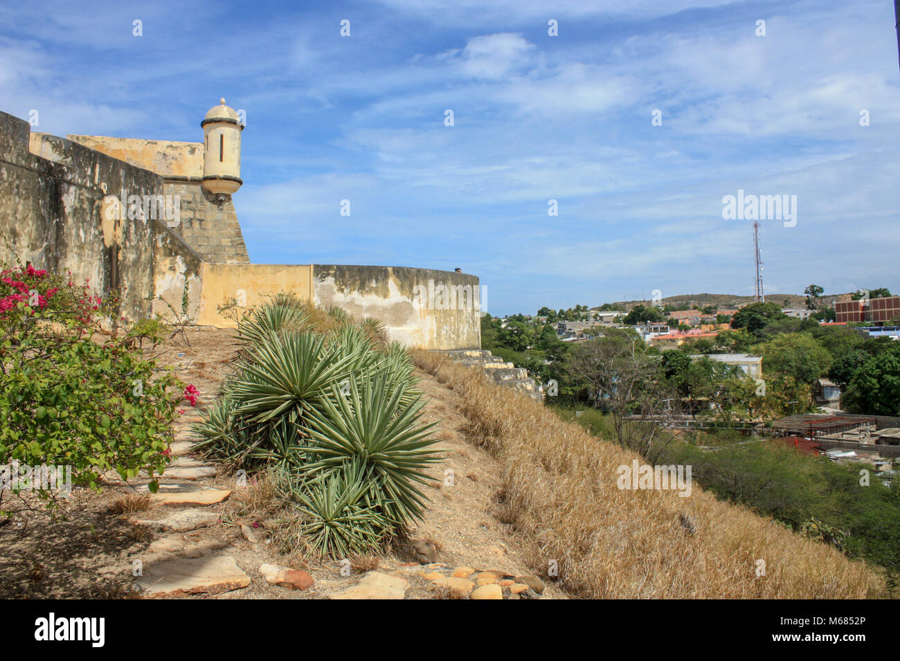 some flowers in the background Cuman castle Stock Photo