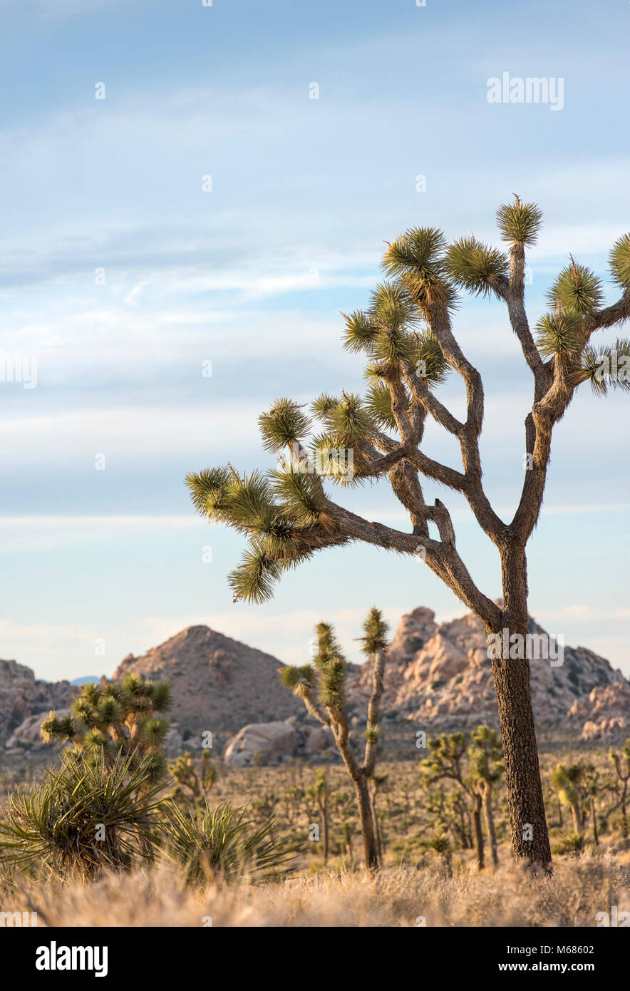 Wonderland of Rocks viewed from Lost Horse Valley Stock Photo Alamy