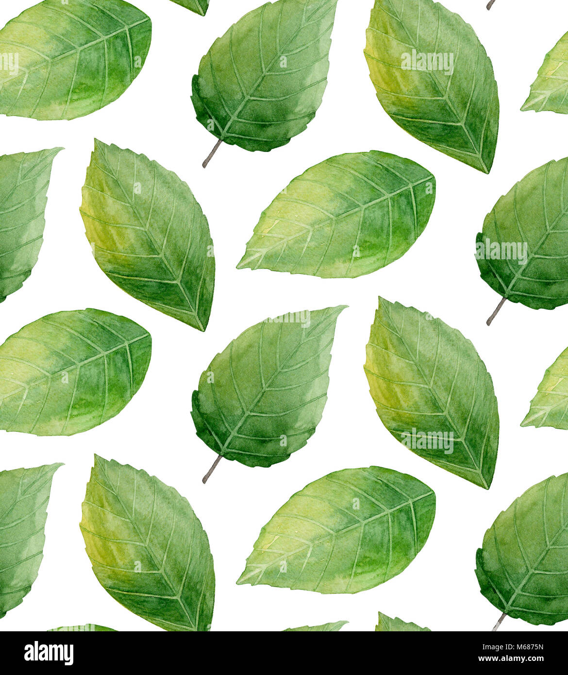 Green leaves pattern. Nature background. Watercolor illustration Stock Photo - Alamy Green leaves pattern. Nature background. Watercolor illustration Stock Photo - Alamy